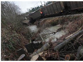 Several train cars derailed into a protected stream in Burnaby, B.C.