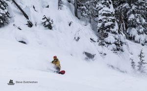 Adam Elliott / Photo: Steve Dutcheshen