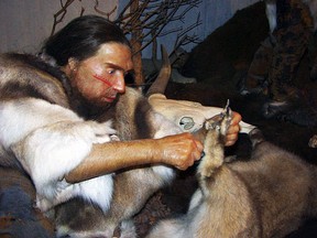 A reconstruction of a Neanderthal male from the Neanderthal Museum, Mettmann, Germany
