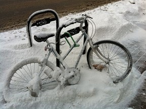 Winter Cycling Tom Babin