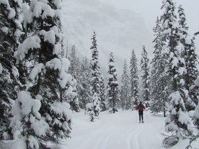 Even when snow and clouds obscure the surrounding peaks, Emerald Lake is still a winter wonderland.