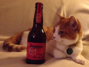 Our cat, Thursday, with Thursday's Premium Red Ale by Septem Microbrewery in Avlona, Greece. (No, the beer isn't named after her, but I thought it was a good excuse to put her picture on the Internet. I should add that I'm a responsible pet owner and didn't actually give her any -- though she's 18 and old enough to drink.)