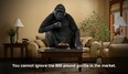 800_Pound_Gorilla