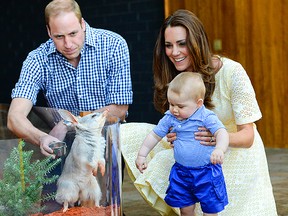 Prince George greets the animals at Taronga Zoo.