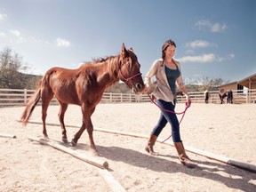 Equine Encounters at Travaasa Austin