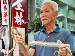 On the Hong Kong episode of The Amazing Race Canada, Mak Kong holds a snake during a challenge at a restaurant that serves snake dishes.