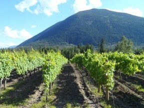 Recline Ridge is a lovely place to visit and enjoy some Shuswap region wine.
