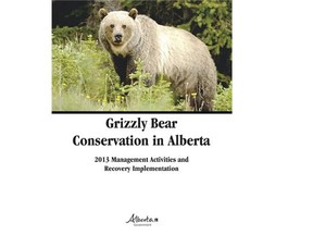 The 2013 annual report on the provincial Grizzly Bear Recovery Plan suggests the animal’s population is increasing in southwestern Alberta.