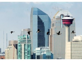 Alberta is home to nearly 31 per cent of the country’s billion-dollar firms.