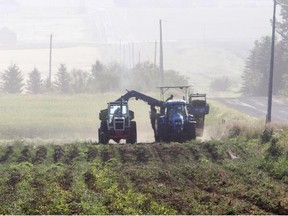 Alberta is the only province in the country to exempt farm workers from Occupational Health and Safety regulations.