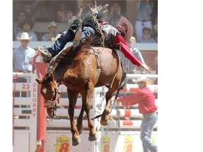 Bareback rider Luke Creasy rides Test Rocket to a score of 87.50 during bareback competition at the Calgary Stampede on Friday.