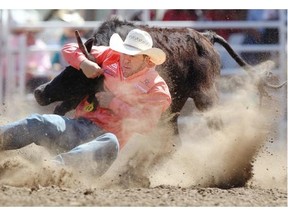 Bulldogger and roper Morgan Grant from Granton, Ont., dives onto his steer during Day 8 of the rodeo competition at the Calgary Stampede.