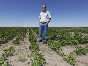 June 28, 2013 Jim Carlson stands in his field of soy beans in Silver Creek, north of Osceola, Neb., on June 28, 2013. The company behind the Keystone XL pipeline has a message for Nebraska landowners resisting the project: the sweet financial offers are going, going, gone. Carlson turned it down, although he said he's heard of others who accepted. Carlson was offered nearly $300,000 to let the pipe cross two parcels of land with corn and soybean crops over more than 400 hectares. The offer contained an immediate, up-front signing bonus of $132,000, his to keep regardless of whether the pipeline got built. THE CANADIAN PRESS/AP, Nati Harnik