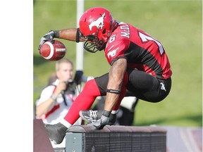 Calgary Stampeders receiver Marquay McDaniel leaps into the end zone after scoring a touchdown on the Ottawa RedBlacks during their game at McMahon Stadium on Aug. 9.