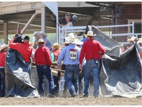 Casey Martin’s steer went down after his run and had to be carried out of the infield during day nine of the rodeo at Stampede Park in Calgary on July 12.