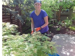 Chelsie Anderson looks after a “flood survivor garden” by replanting missing plants and adding soil that was washed away.