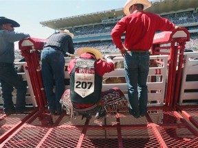 Cowboy Jessy Davis prepares for his ride on Risque Elsie bareback event at the Calgary Stampede in Calgary on July 10, 2014.