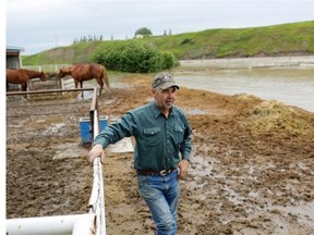 Dave Elliott watches as Willow Creek overflows onto his property north of Fort Macleod after moved his horses to higher ground.