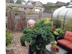 Donna Balzer shows off her robust crop of kale grown on a layered garden.