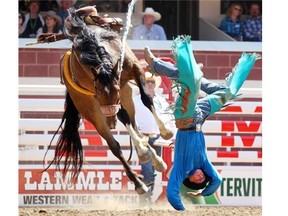 Josh Davison from Miles City, Mont., gets bucked off a horse on his re-ride during the novice saddle bronc at the Calgary Stampede.