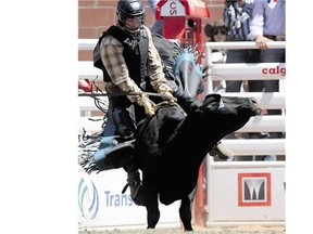 Junior steer rider Arlan Lumgair didn't stay on his steer for the required eight seconds Wednesday, but it was a memorable ride.
