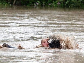 Kevan Yaets swims after his cat Momo to safety as the flood waters sweep him downstream and submerge the cab in High River, Alberta on June 20, 2013 after the Highwood River overflowed its banks. Hundreds of people have been evacuated with volunteers and emergency crews helping to aid stranded residents.