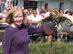 Laureen Harper releases a Swainson's Hawk at the end of The Gathering, an annual event for women interested in conservation issues.