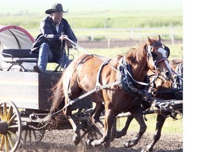 Luke Tournier drive his team at the 2012 WPCA GMC Tour chuckwagon races at Guy Weadick Days on June 25, 2012. The festival has been cancelled for the last two years. (Calgary Herald/Files)