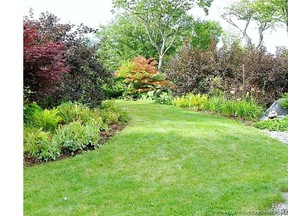 A meadow edged lawn gives a casual look to the garden.