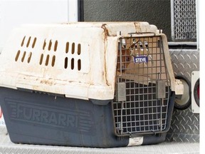 More than 30 dogs were found in a house in the 8500 block of Addison Drive SE in Calgary, on May 13.