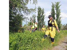 More than 80 people, including Calgary police, Calgary Search and Rescue Association in conjunction with the U of C, joined forces Sunday for a mock missing child scenario on campus to strategize on missing child or emergency cases in Calgary.