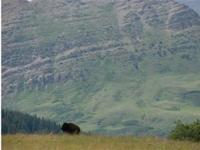 This ranch in southern Alberta was the centre of a lawsuit by the Nature Conservancy of Canada.