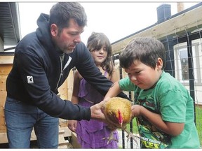 Paul Housley hands a hen to his son, Jack, as his daughter, Riley, 7, looks on in his backyard chicken coop.