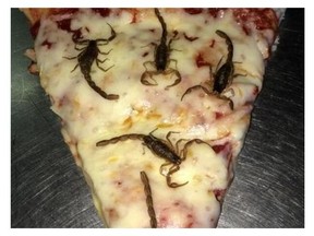A Stampede vendor is selling scorpion pizza. Unfortunately, they ran out due to strong demand but are promising to have more soon.