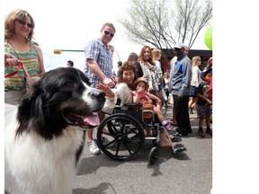 Baxter, a European Lancer, loves meeting new people, like Tia Podesky, 2, and her grandma from Japan Noriko Iwagami at the 25th anniversary for the Lilac Festival in Calgary on May 25, 2014. Reader saysthe festival is too crowded and commercialized to be called a festival.