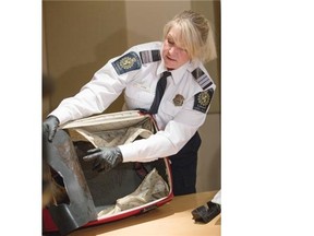 Candace Lyle, chief of operations for Canada Border Services (CBSA) at the Calgary airport, stands with a suitcase fitted with a false bottom where approximately 2.9 kg of suspected heroin was found in Calgary on Thursday May 29, 2014.