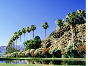 Palm Springs is a popular destination for Albertans.