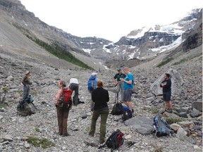 Participants on a guided hike to the Stanley Glacier examine fossils in a rock bed.