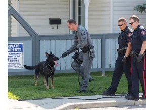 Police officers and the K-9 unit search the area near the National Bank on Macleod Trail S.W. in Calgary after a robbery on Monday, Aug. 11, 2014. (Jenn Pierce/Calgary Herald)
