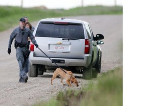 Police and RCMP conduct an extensive search on a property north of Airdrie, in connection with the abduction of Kathryn and Alvin Liknes and their five-year-old grandson, Nathan O’Brien.