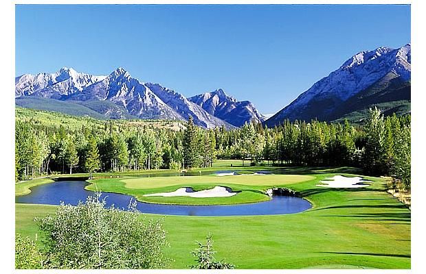 Letter: Golf course flood damage? Leave it to beaver | Calgary Herald