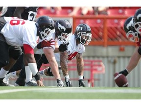 Shawn Lemon, centre, and the Calgary Stampeders defensive line squares off against their offensive counterparts during practice at McMahon Stadium on Wednesday.