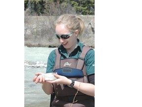 (Shelley Humphries/Parks Canada) 
 Sierra Sullivan with Parks Canada holds a westslope cutthroat trout. Prior to the Bath Creek culvert removal no westslope cutthroat trout were caught above the culvert.