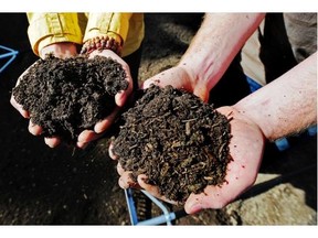 Soil is a foundation for good gardening.