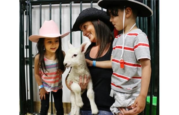 Stampede brings the country to the city Calgary Herald