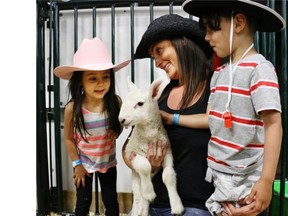 Twins Vega and Felix Santacruz, 4, with their mom Justine Body got to pet a three week old lamb at the Agrium Western Event Centre at the Calgary Stampede.