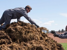 Ryan and Rob dig for buried treasure in a steaming pile of horse manure on The Amazing Race Canada.