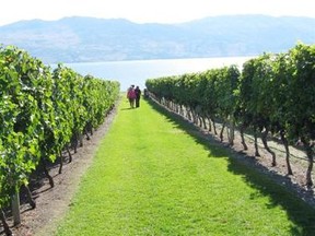 Gray Monk winery is one of three in the Okanagan purchased by Andrew Peller Ltd.