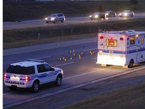 Police investigate the scene of a fatal pedestrian collision in the eastbound lanes of 16th Avenue and 36th Street N.E. on Oct. 26, 2010.