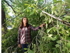 Calgary resident Louise Castonguay mourns the loss of her trees after a large September snow dump caused havoc in the city.